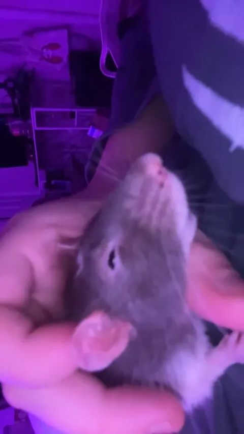 Is she going to explode?