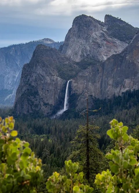 Rainy day at Yosemite National Park (California, USA) [OC] [4000x6000]