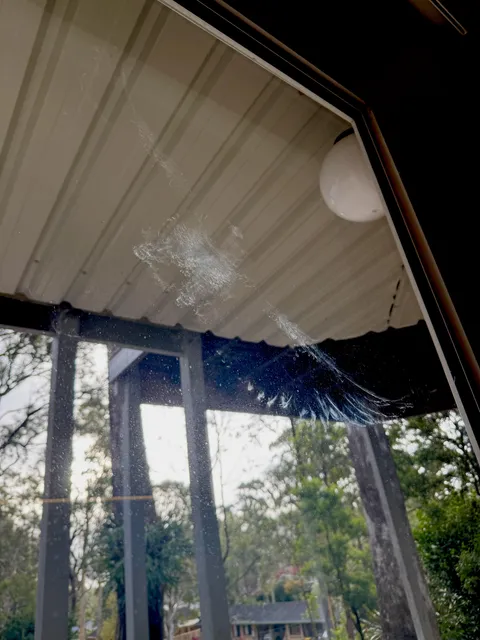 Think I cleaned the windows a little too well…