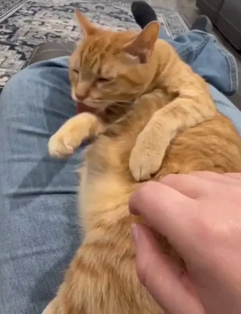 Do not touch where I just cleaned