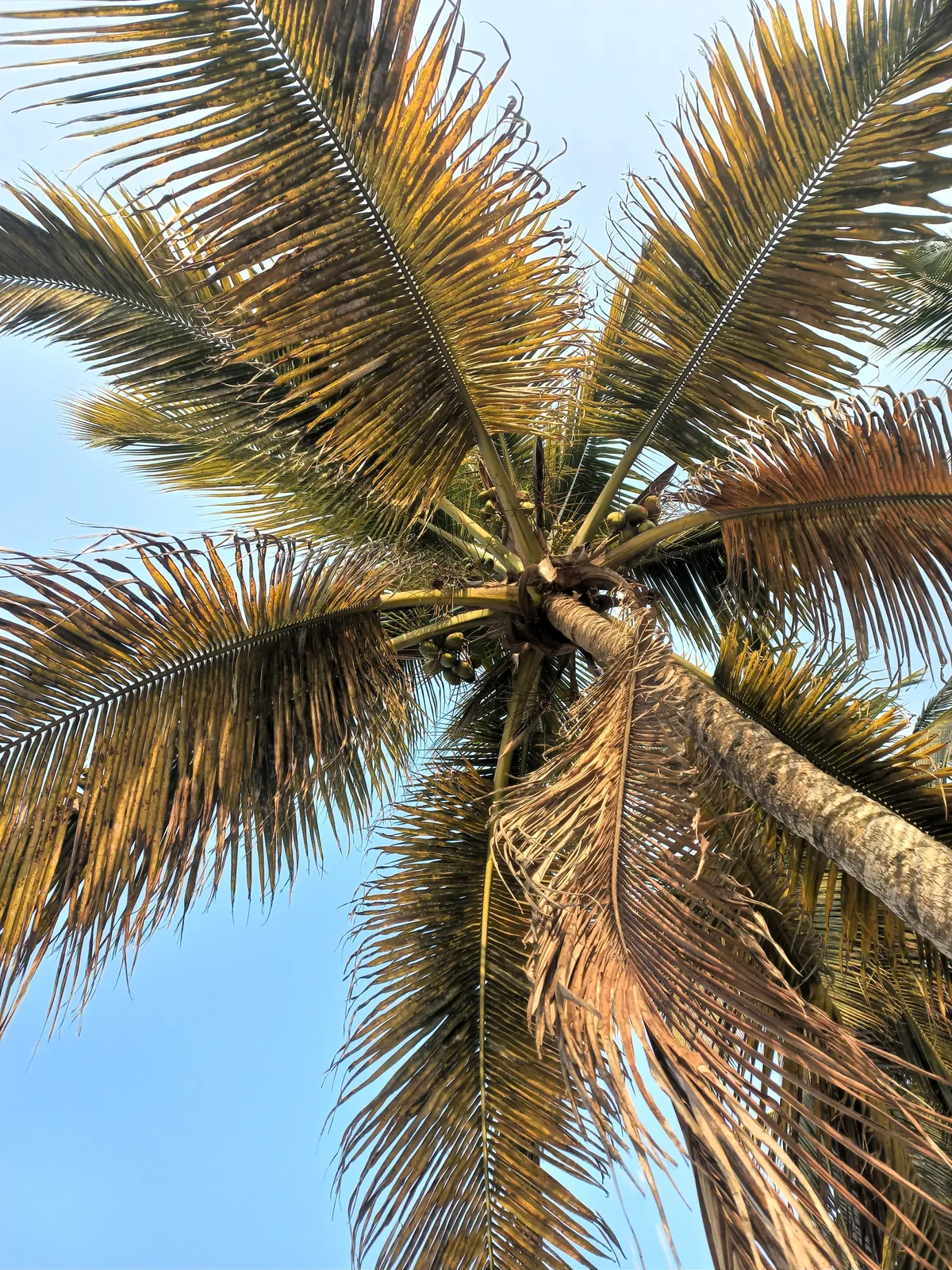 Pics from my two trips to Gabon in central Africa (Aug 2024&amp;2025)