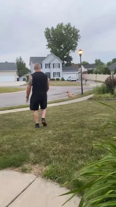 When you’re not allowed to go on the road so you wait for paps to get your ball for you