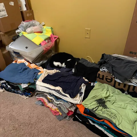 Why does she do this? There clean (been clean so it’s not recent laundry)…she has beds she loves but she has started to do this. Any particular reason why?