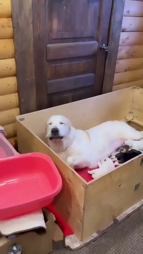 Proud and Emotional Mummy