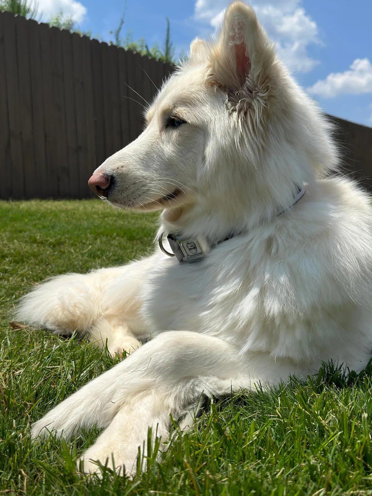 I promise she’s real!!