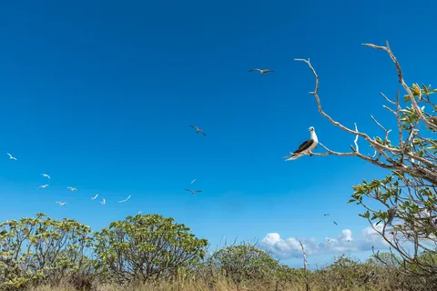 Kiritimati (Christmas) Island, Kiribati