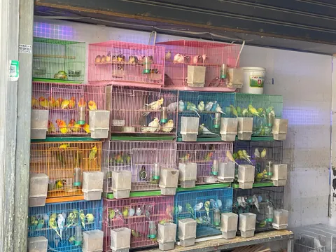 A slice of (tourist) life in Lhasa, Tibet