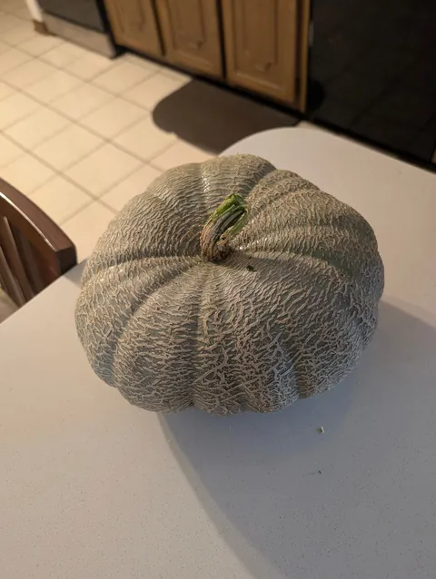 This pumpkin we found in our garden