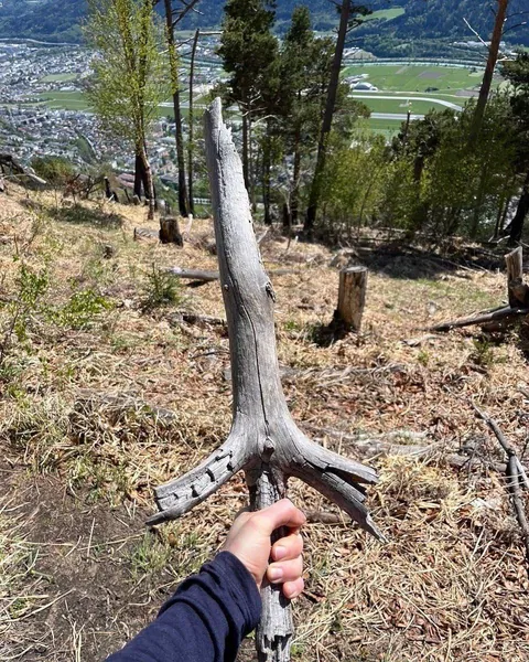 PsBattle: Person holding a sword-shaped stick on a mountain