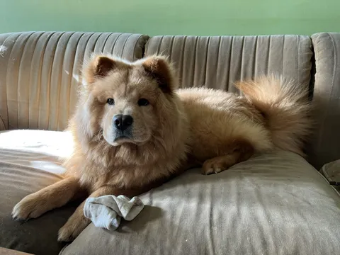 Mom caught me with a sock