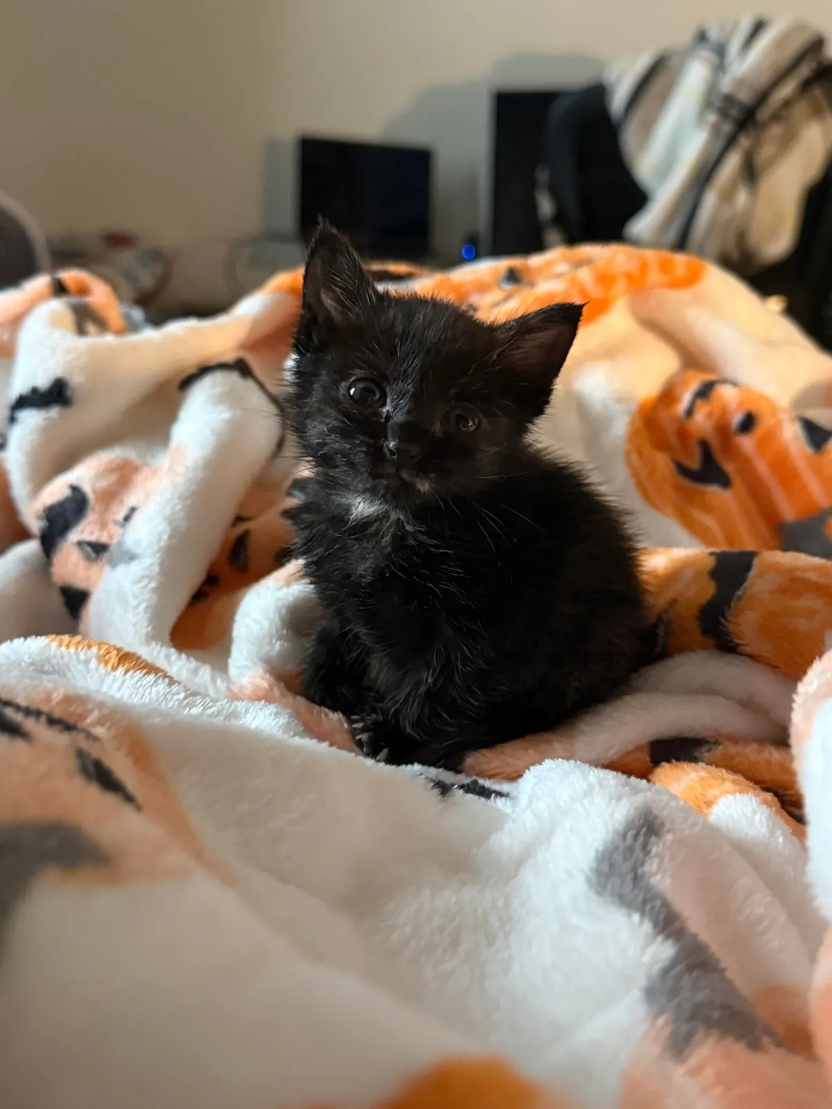 She’s 12oz this morning!!!!!