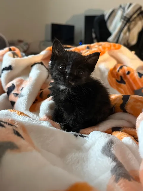 She’s 12oz this morning!!!!!