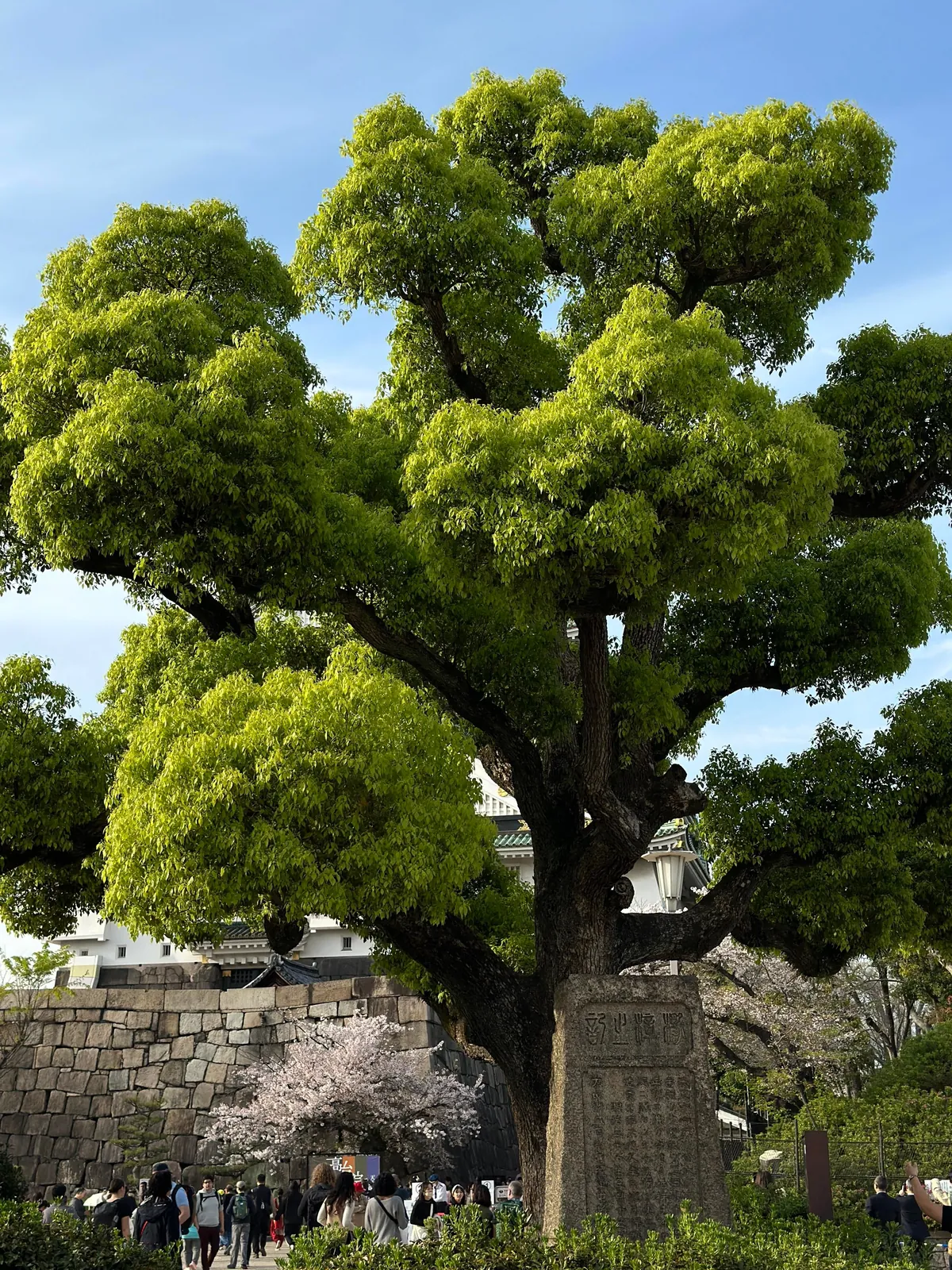 Japan 🇯🇵 is unreal