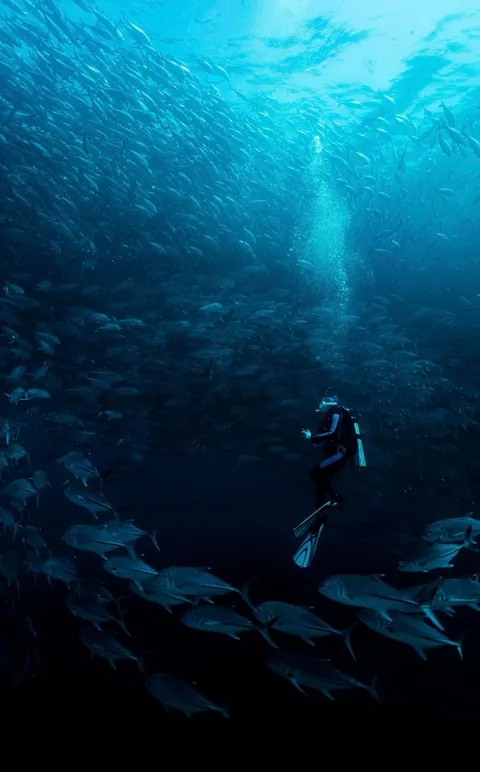 Underwater is just space with better lighting.