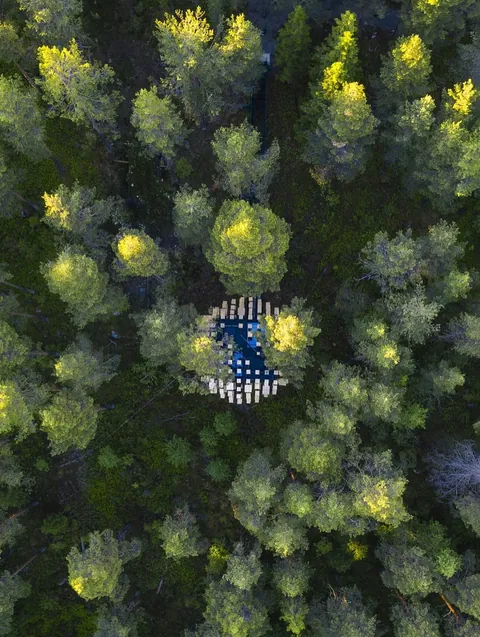 Biosphere at Treehotel by Snøhetta