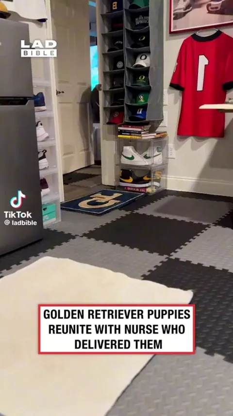 Puppies reunite with nurse who delivered them