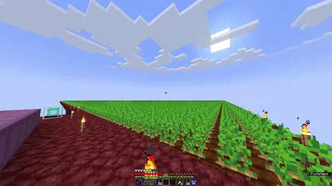 I created the largest potato farm ever made in survival at 250,876 potatoes