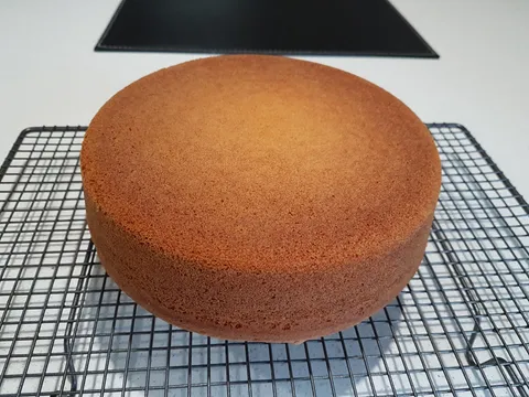 My cake I just popped out of the cake tin did not break at all. Feels good!