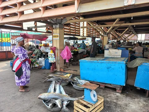 Pics from my two trips to Gabon in central Africa (Aug 2024&amp;2025)