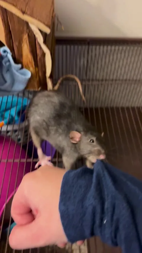 Where is she taking me?