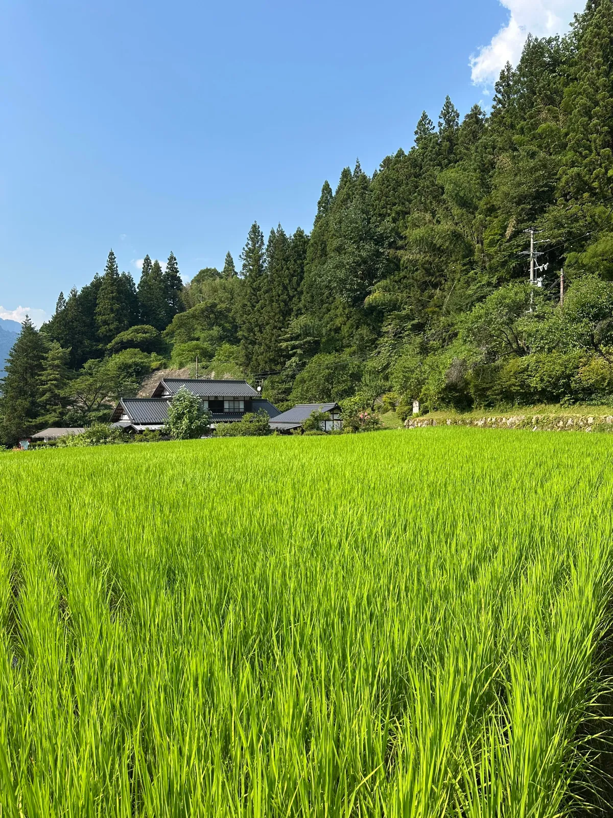 Japan: Nakasendo Trail between Magome and Tsumago