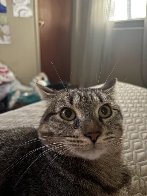 Not a single thought between those eyes