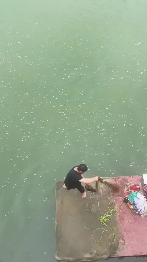 perfect fishing net slingshot