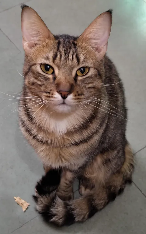 How am I supposed to leave him for work when this is how he watches me get ready😭😭