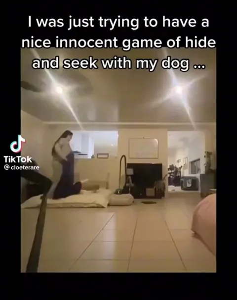 Wasn’t sure what sub to post this in but I had to share