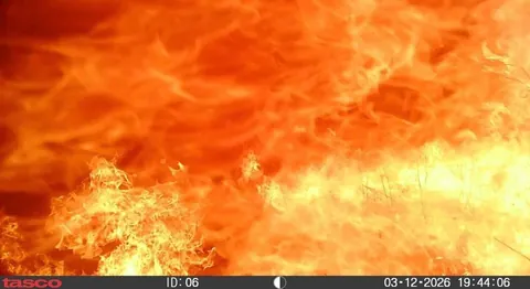 A trail cam that went through a wild fire in Nebraska it survived and took photos