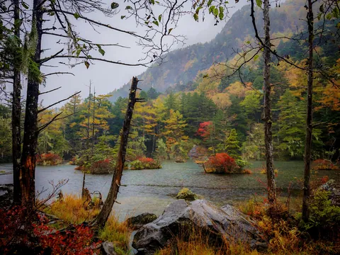 Myojin Pond, Japan [OC] [4096x3072]
