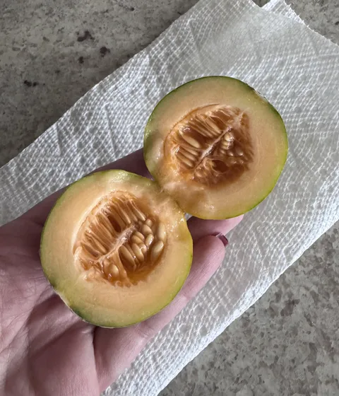 First time gardening. I grew a baby cantaloupe!