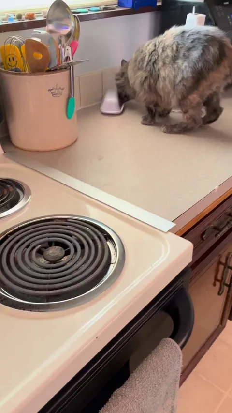 TIL my wife isn’t the one who’s been cleaning the butter container. She gets to find out it isn’t me either.