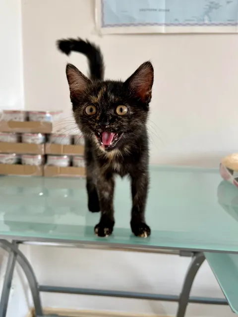 First she’s sour, then she’s sweet.