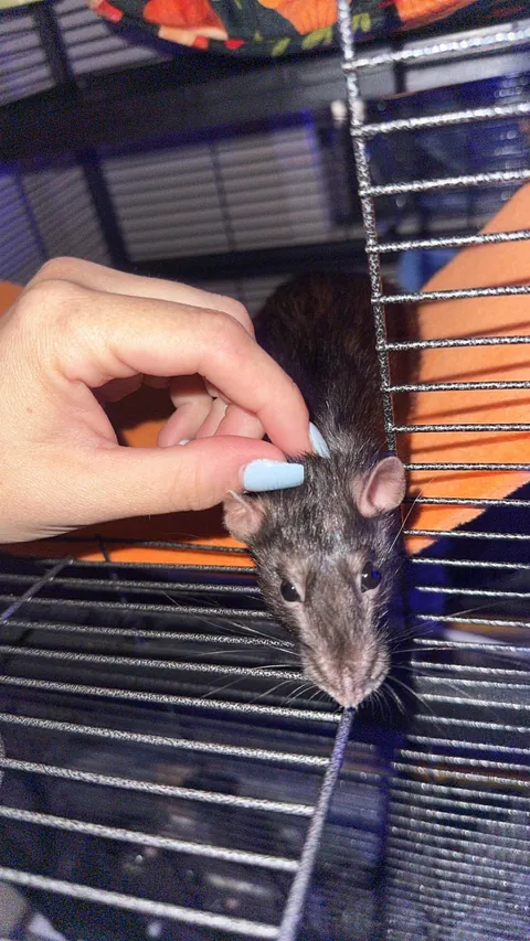 No one cares. (besides this sub)