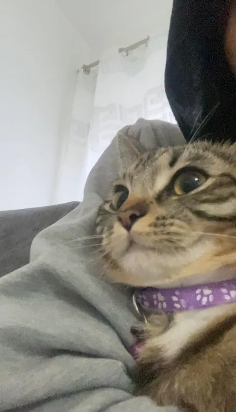 My cat died today. I miss her so much.