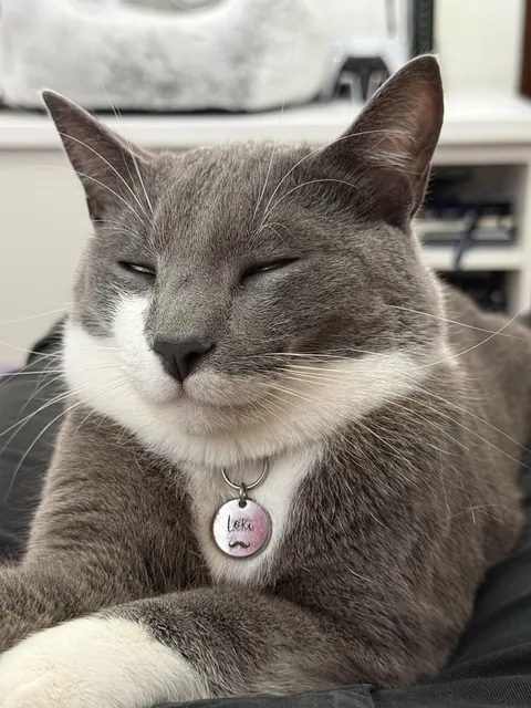 Someone fell at sleep on the job! 🤣