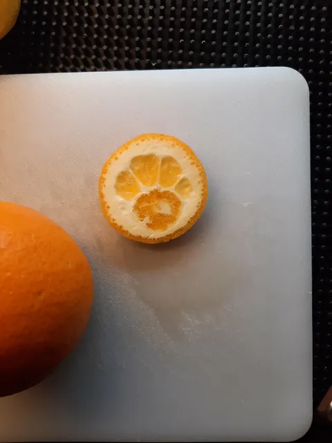 Orange had a little paw print in it