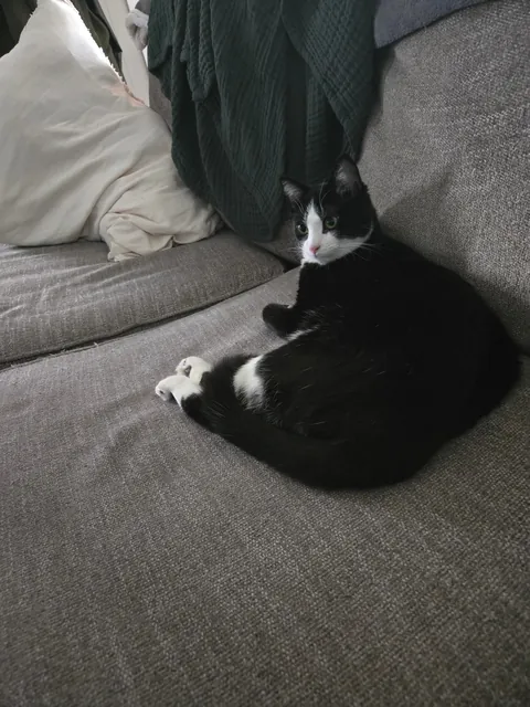 Today we let you go so you can thrive baby Remy.