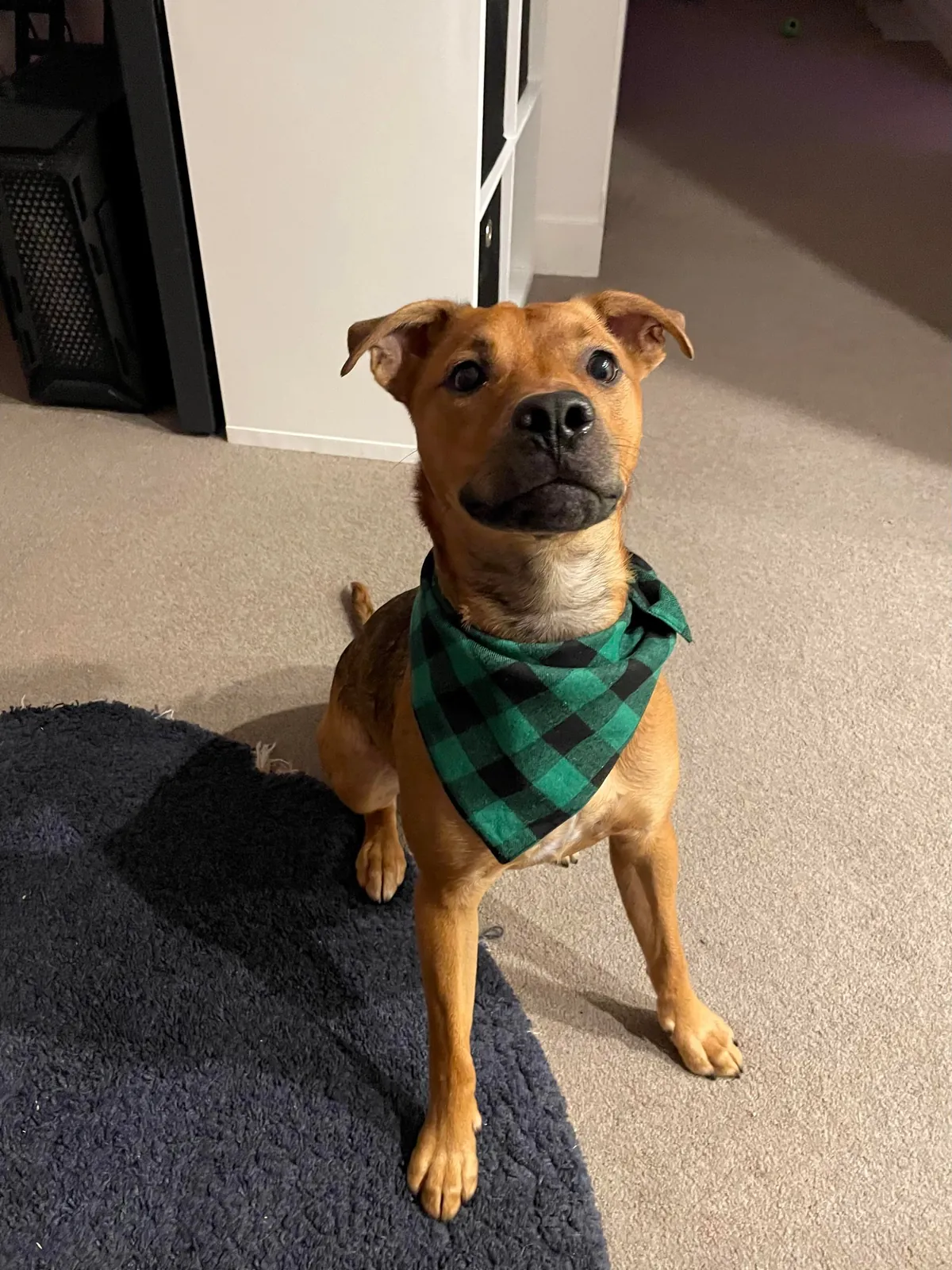 Hector through the years. Which is your favourite photo