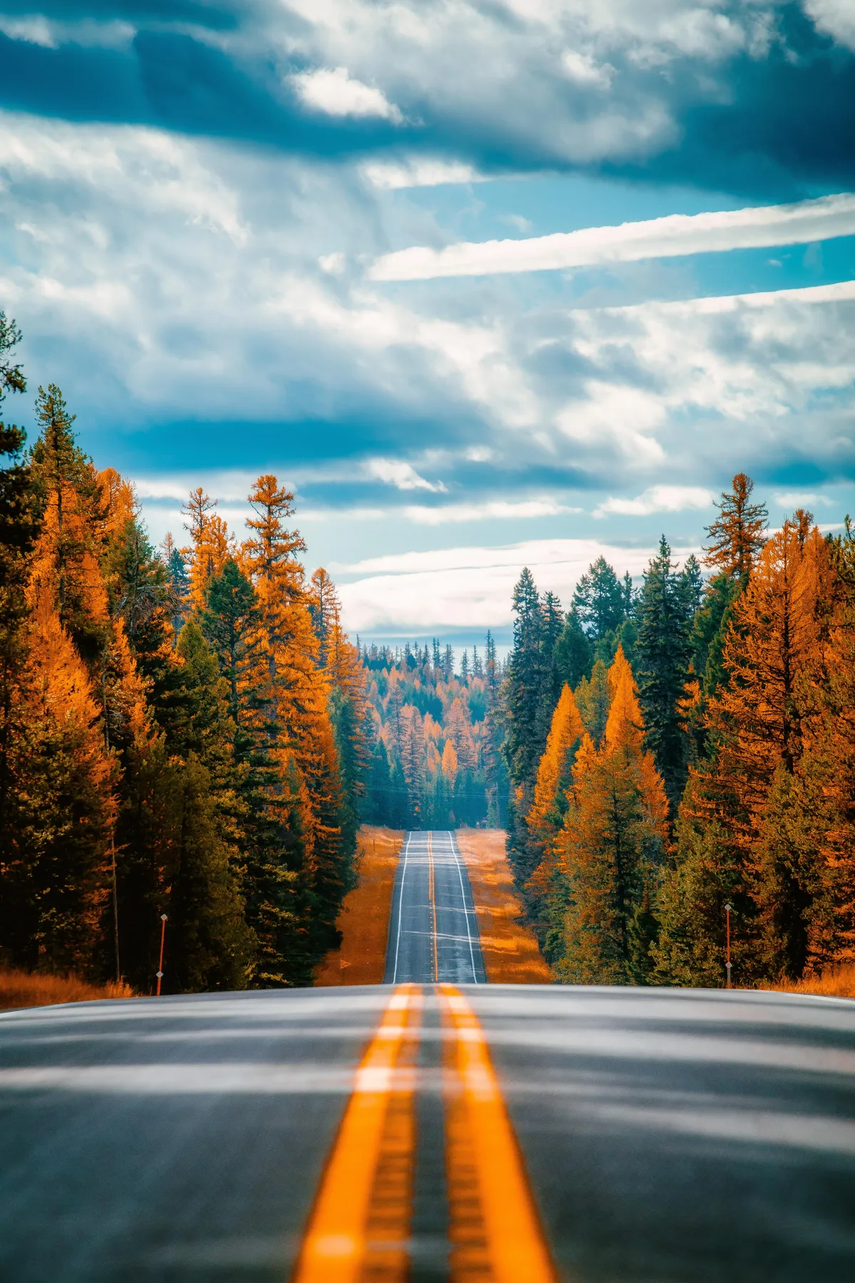 ITAP of a road in Montana
