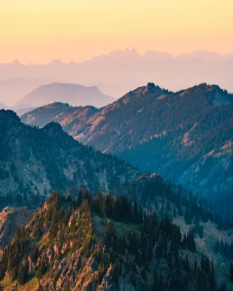 Sunset Layers in Mt. Rainier NP, WA [1638x2048][OC]