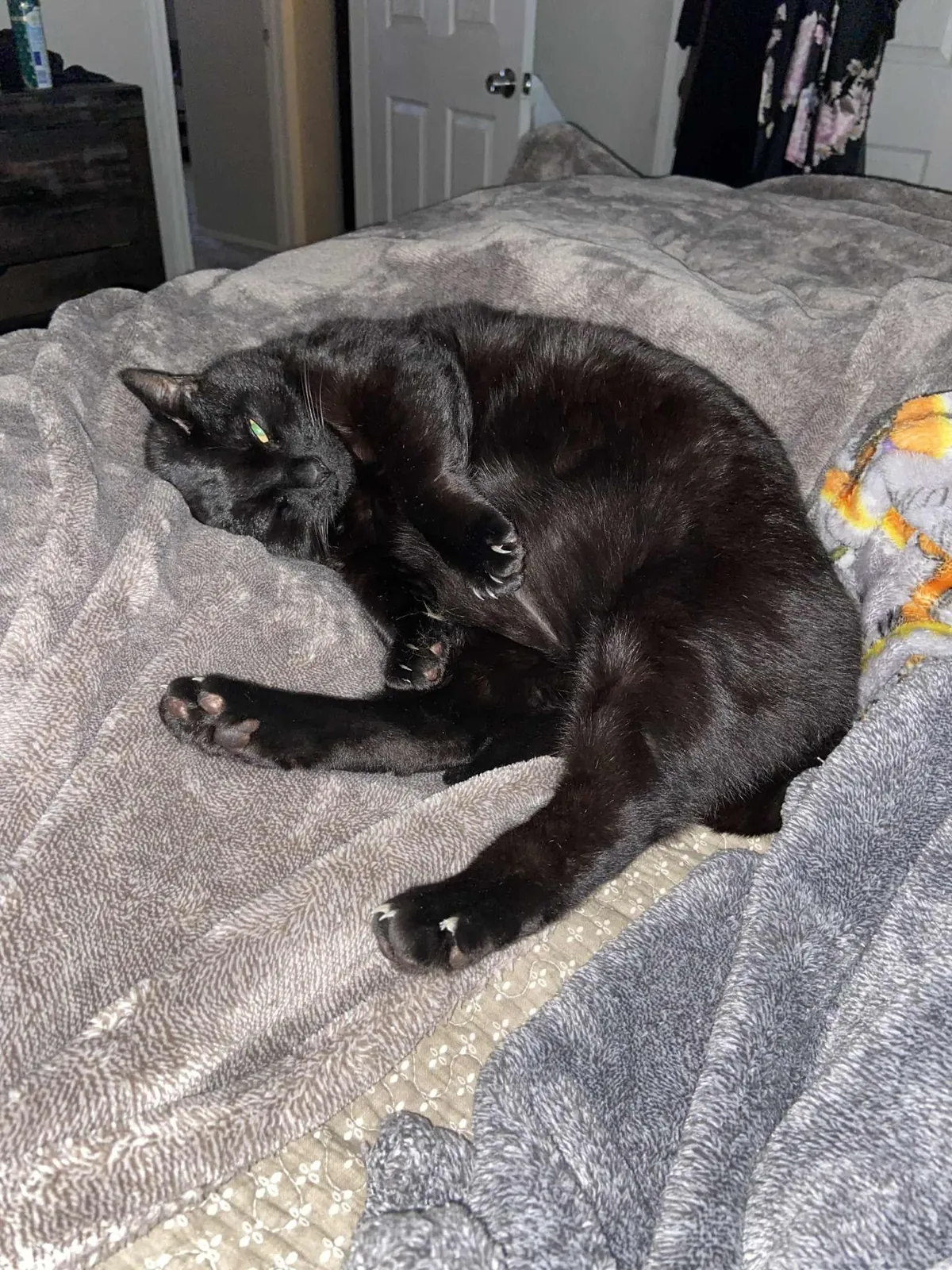 I said goodbye to my void this week after 15 years.