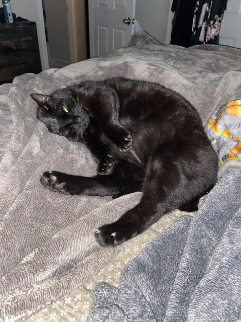 I said goodbye to my void this week after 15 years.