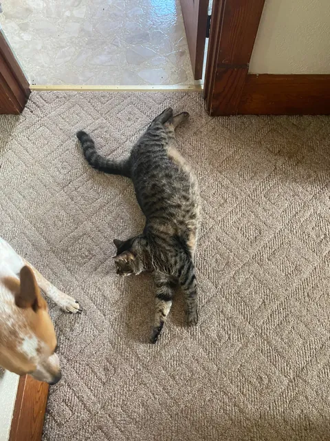 Said goodbye to my eyeless boy