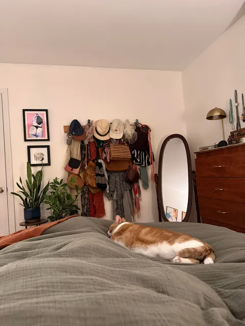 Just bought my first house!