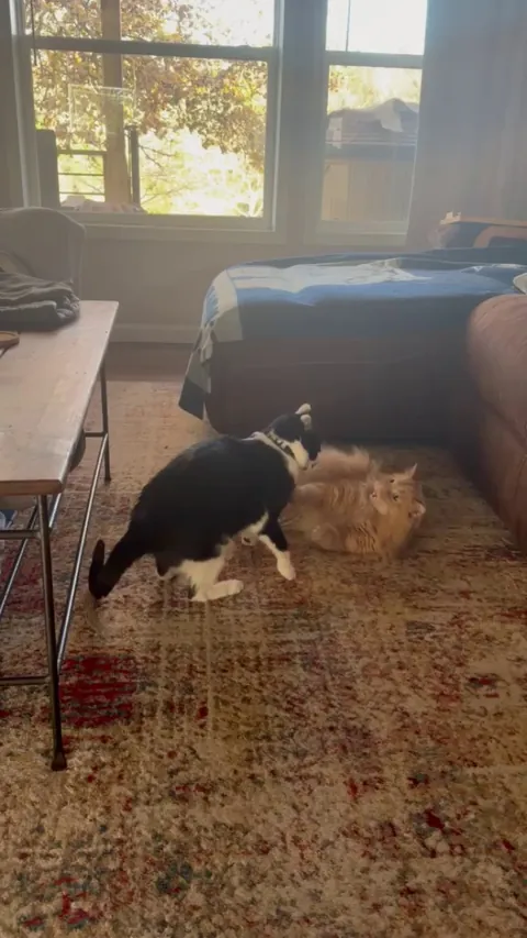 It’s these two again