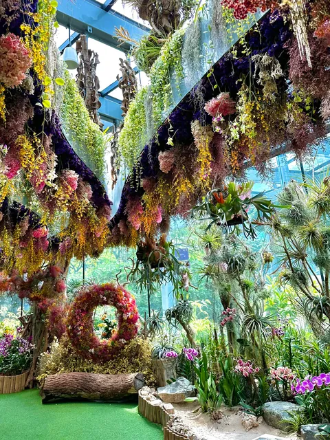 Brilliant but hard to get to know- Singapore 5-day trip