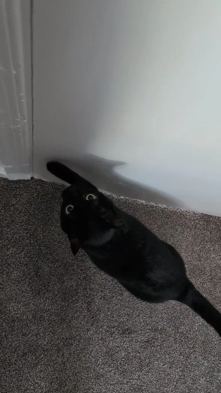 How DARE I (accidentally) lock her in my office during a meeting!