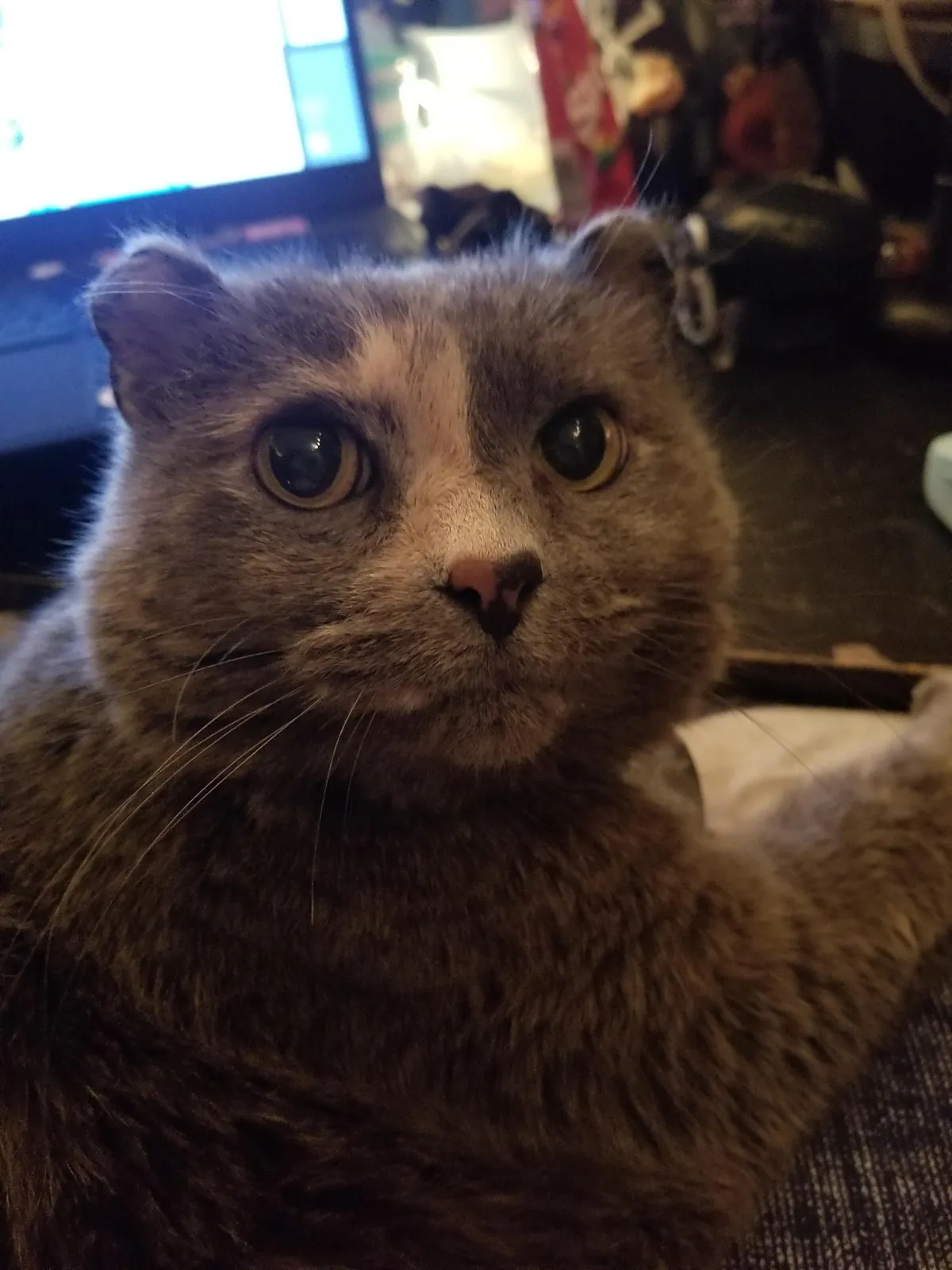 My 17 year old baby passed this morning